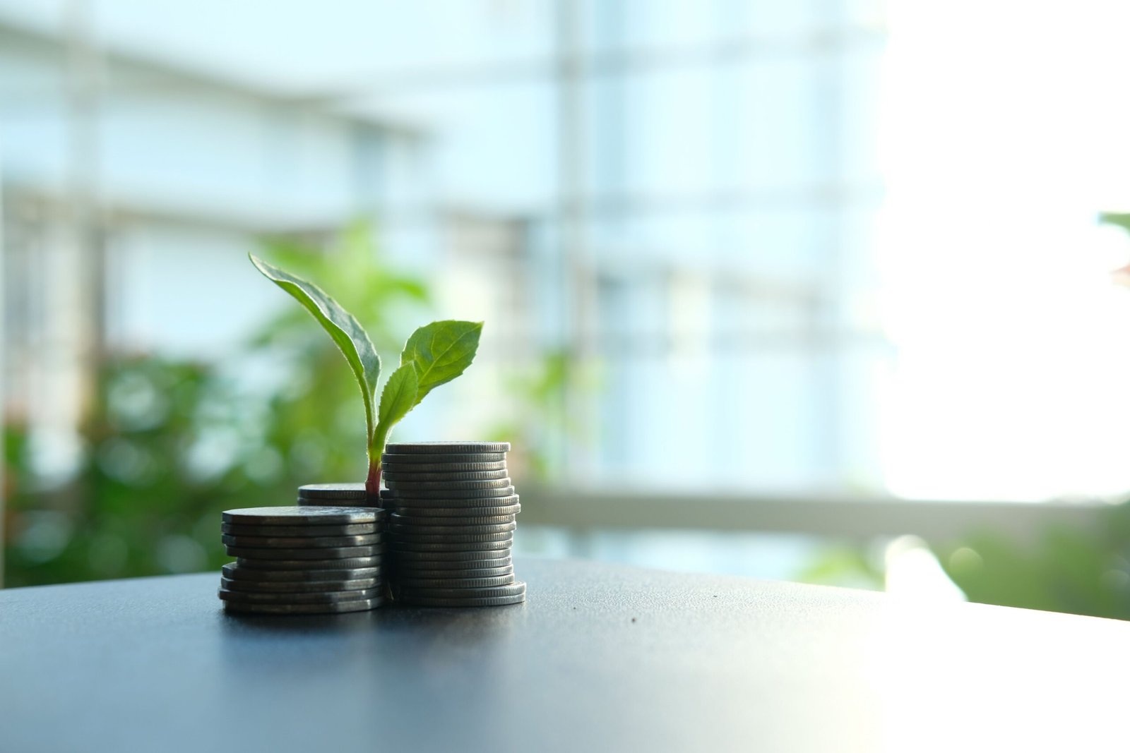 Coins stacked with a growing plant representing dividend compounding