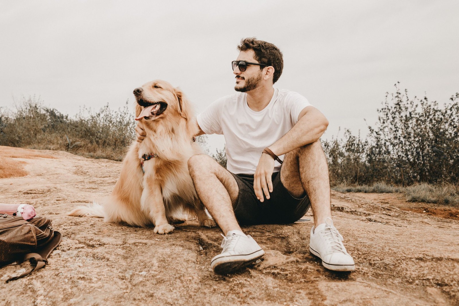 Dog owner with a golden retriever considering dog insurance cover