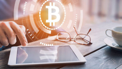 Best Crypto Wallets for Beginners in the USA, UK, and Canada