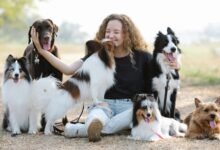 Best Pet Insurance Plans in 2026