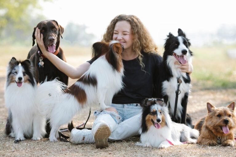 Best Pet Insurance Plans in 2026