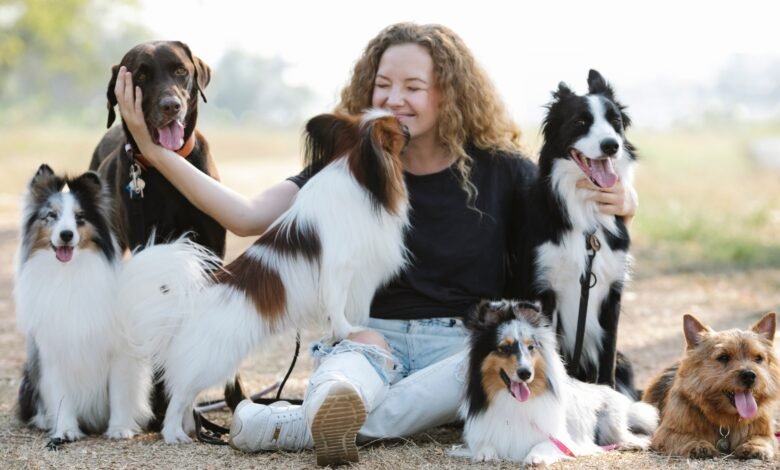Best Pet Insurance Plans in 2026
